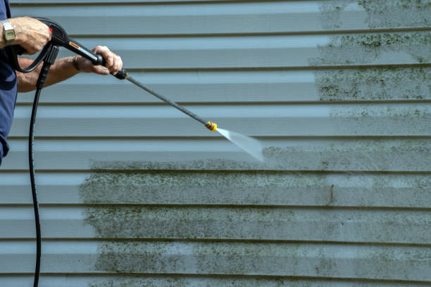 Best Roof Washing  in Sea Girt, NJ
